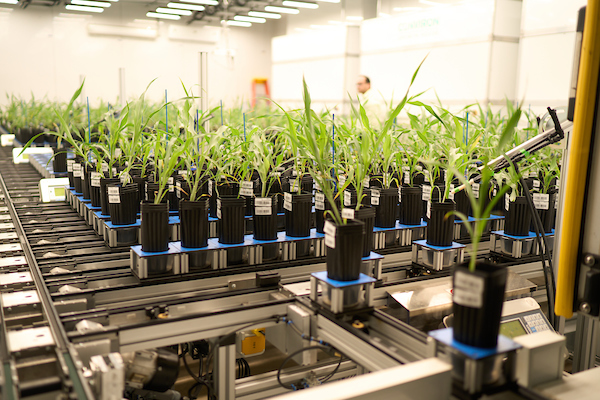 1F – Danforth Plant